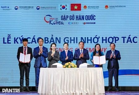 South Korea's Investment in Dong Nai Exceeds $8.37 Billion