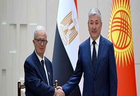 Egypt and Kyrgyzstan Discuss Expanding Bilateral Cooperation