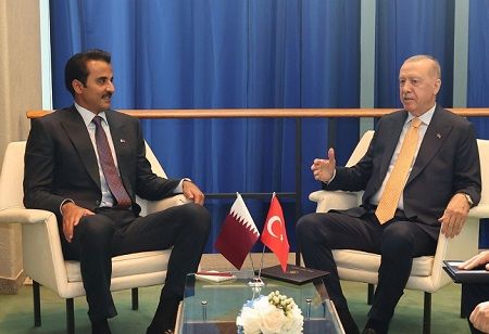 Erdogan, Qatar Emir Discuss Gaza, Energy and Bilateral Ties