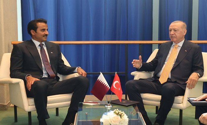 Erdogan, Qatar Emir Discuss Gaza, Energy and Bilateral Ties